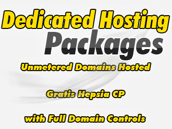 Economical dedicated server account